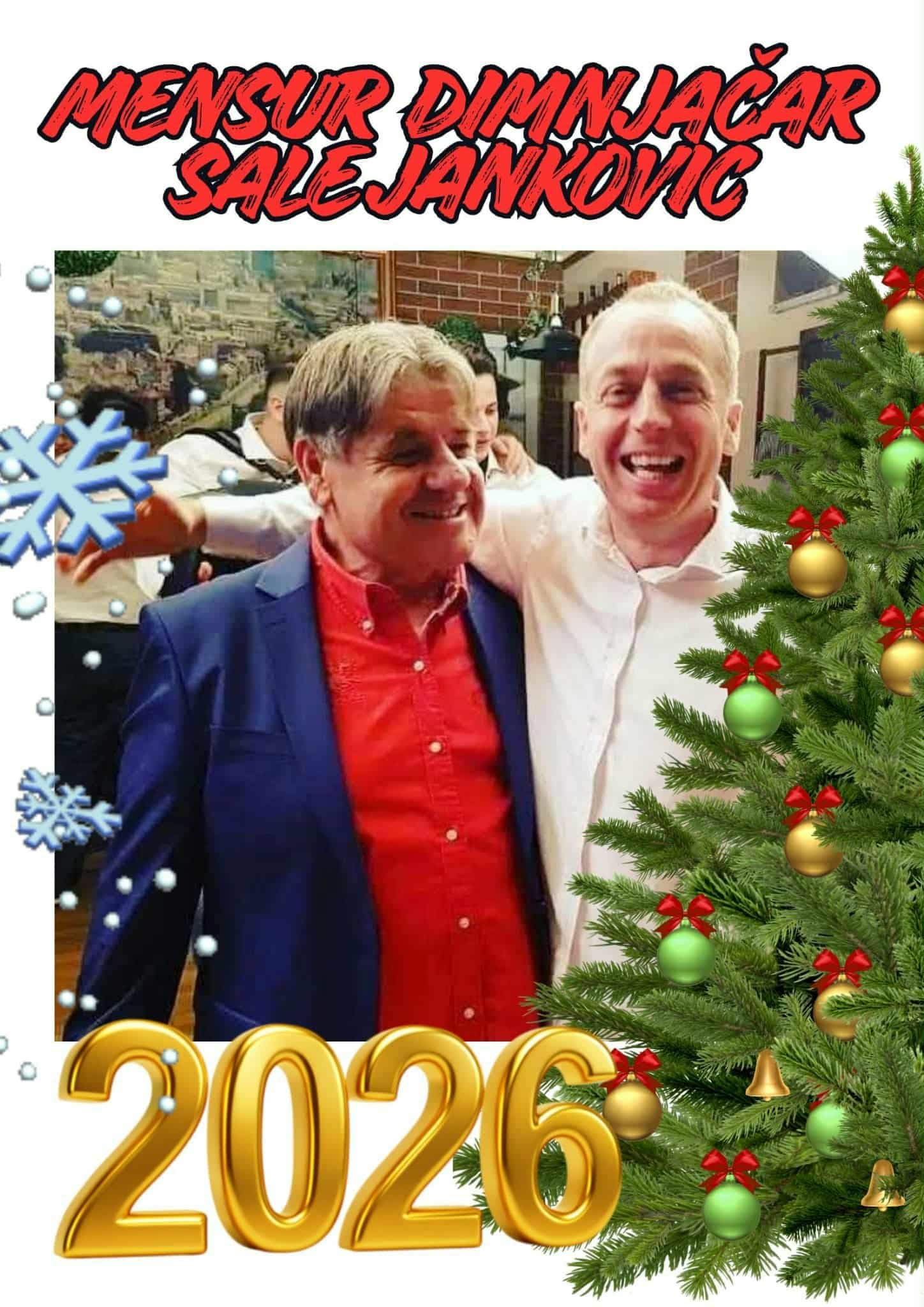 Euro Stars - Mensur Bajraktarevic