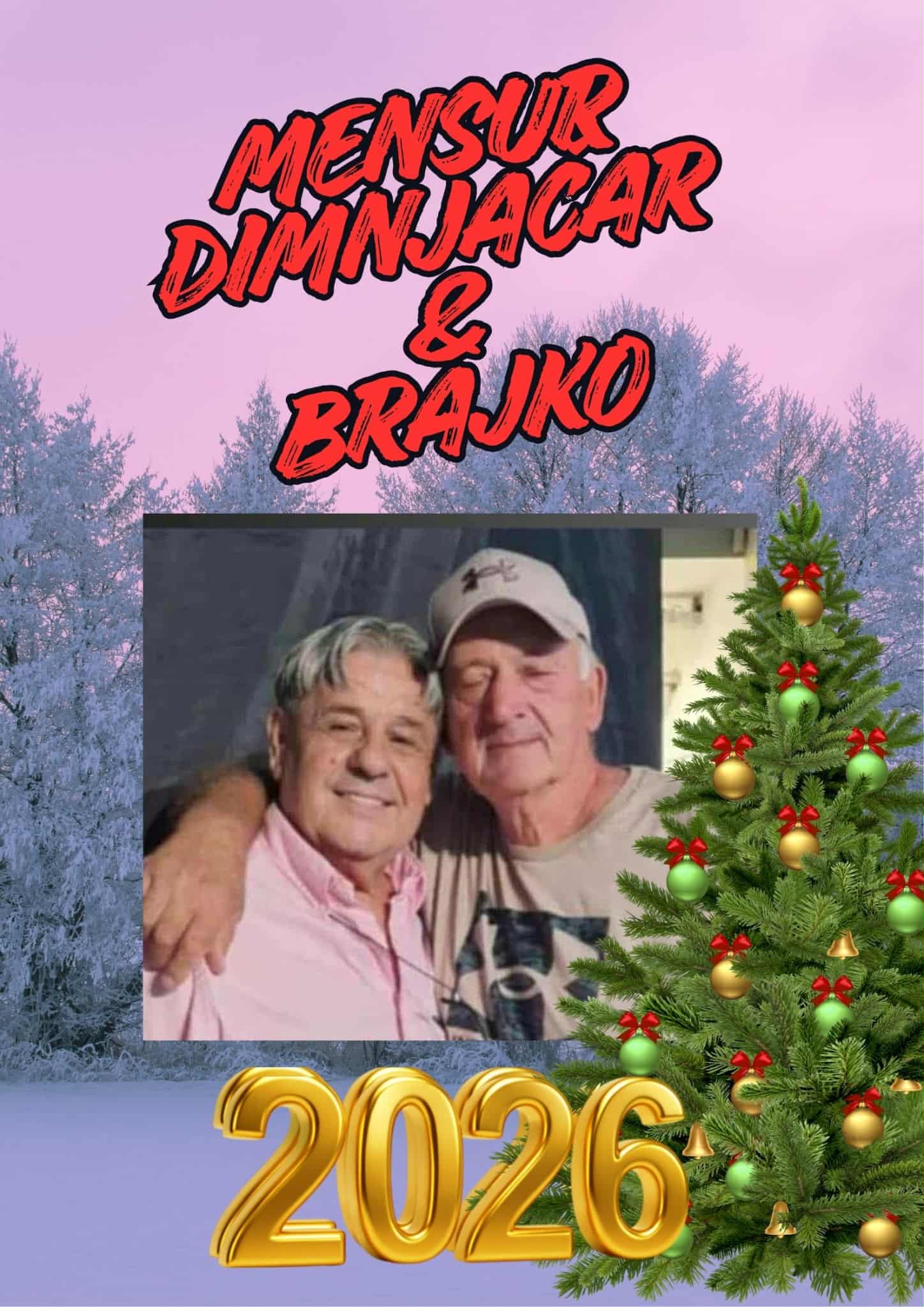 Euro Stars - Mensur Bajraktarevic