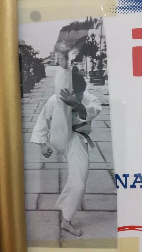 Euro Stars - Mensur Bajraktarevic