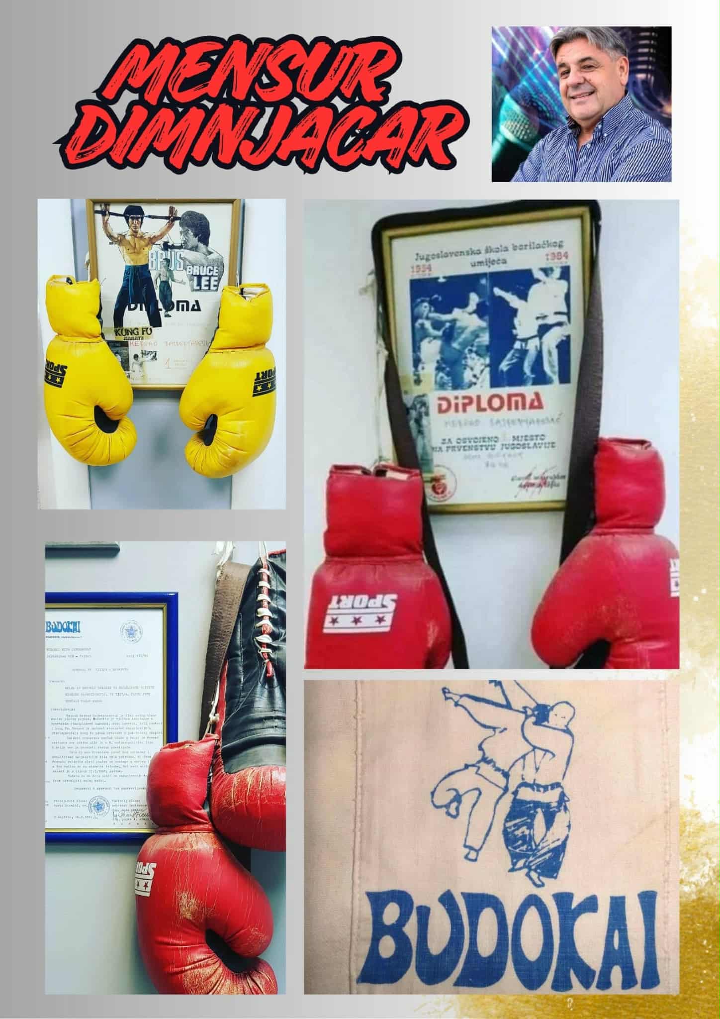 Euro Stars - Mensur Bajraktarevic